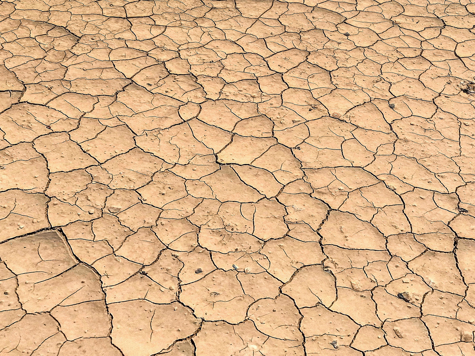 coffret-desert
